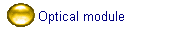  Optical module